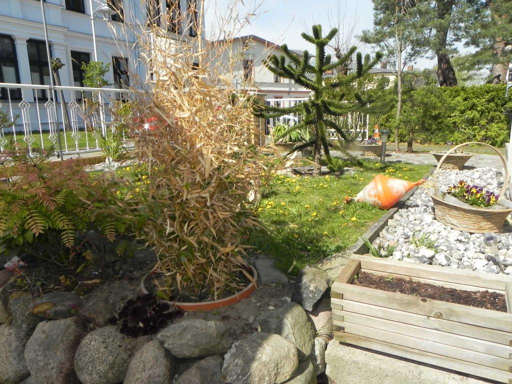 Strandnahe Ferienwohnungen Heringsdorf  Exteriör bild